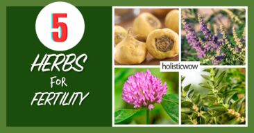 5 Traditional Herbs To Boost Your Fertility Naturally