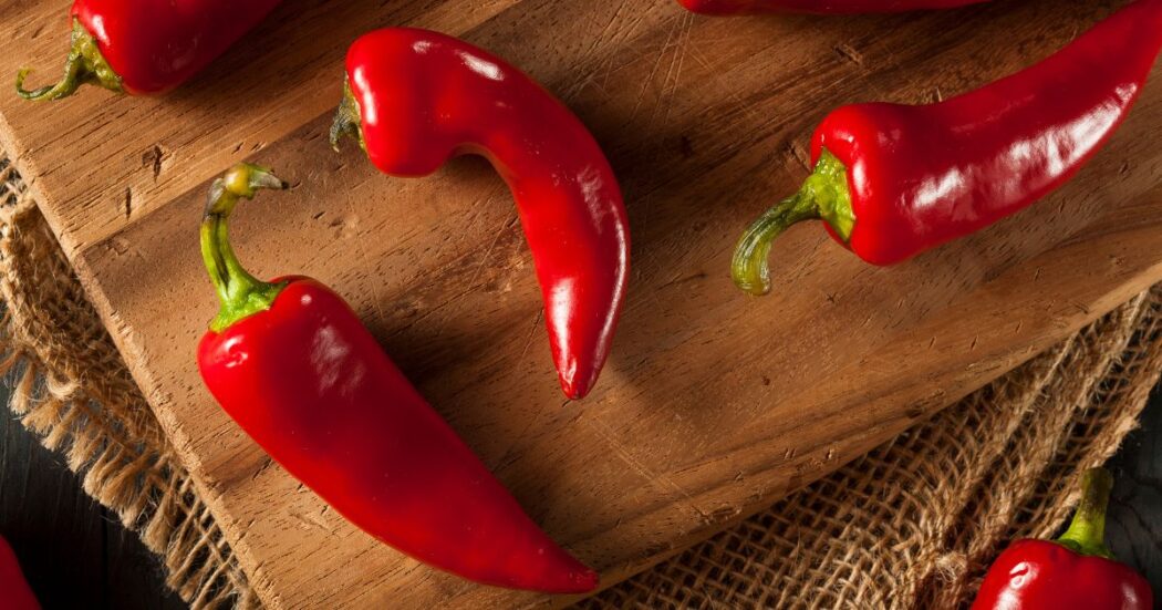 Fresno Pepper All About Heat Flavor Uses Substitutes   Fresno Pepper 04 Hollosticwow 1050x551 