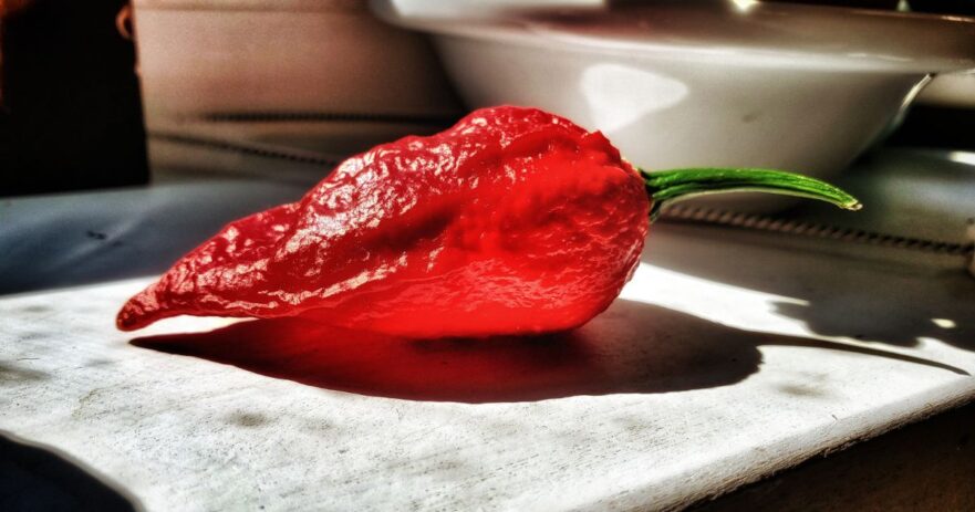 Ghost Pepper All About Heat Flavor Uses Substitutes