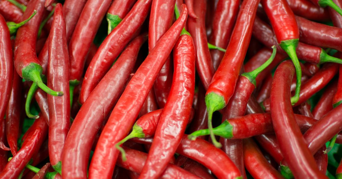 Tabasco Peppers: All About Them - Chili Pepper Madness