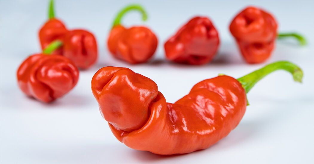 Peter Pepper – All About Heat, Flavor, Uses, Substitutes 🌶️