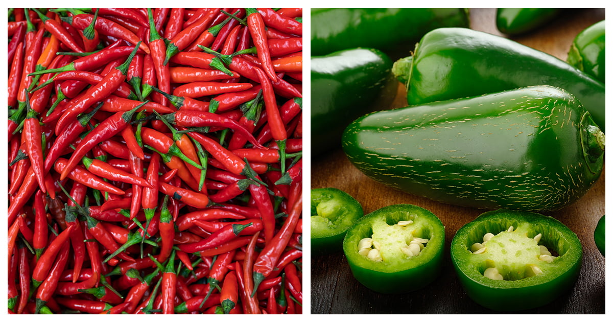 Cayenne VS Jalapeño How Are They Different?