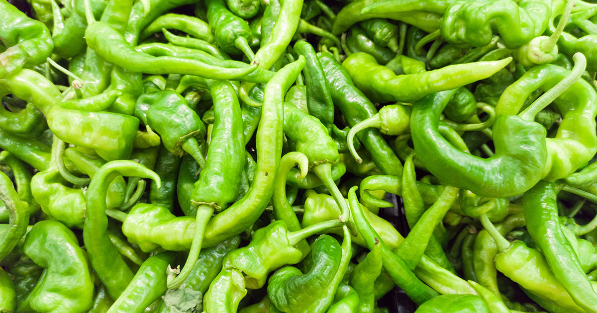 Italian Long Hot Pepper – All about Heat, Flavor, Uses, Substitutes