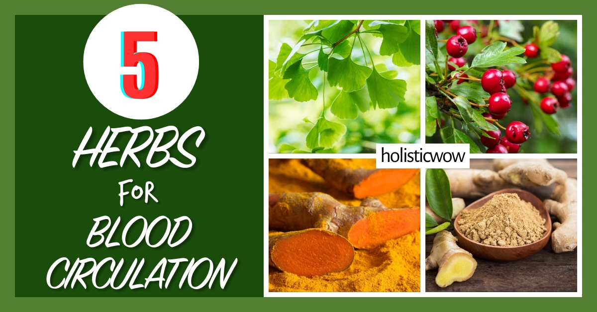 5 Key Herbs to Boost Blood Circulation Naturally